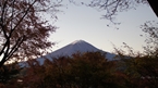 Lake Kawaguchi：河口湖